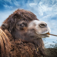 ̫���ˣ�IT���˵ġ�����ʵ������32����