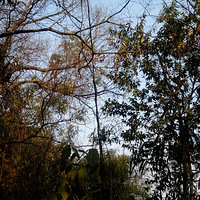 ���ڵĺ����ڣ���˵�ж���