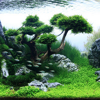 �λá�ˮ���硱