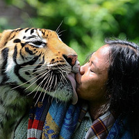 ӡ���������ϻ�����6��