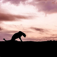 �Ϸ������Ķ����Ӱ