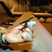 ������С��������