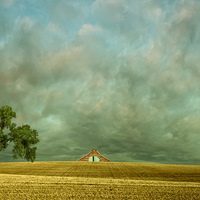 �����˾��֮��Ұ