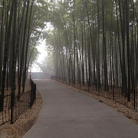 ������̫��