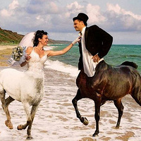 �ڴ�������˰��� ����˹�����ɴ�������ߺ� 