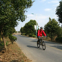 ��������ᶡ�