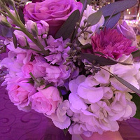 �����Ľ��