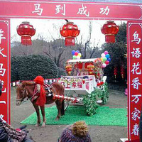 ������Ŀ�������