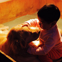 2���Խ���͸�����õ����˽�����----����