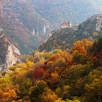 ����--����Ȼ��ɫ��