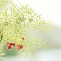 С���µ��Ա�ֽ������~