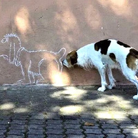 ��Ϊ���ƣ�ֻͼ���ģ�