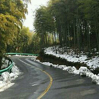 ����ĵ��������һ�����ɽ