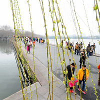 �������ġ�һ��ͼ֤����������