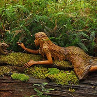 ���������е�ľ�̵���