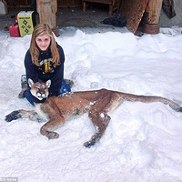 ��11��Ů��Ϊ�ȸ��ǹɱ����ʨ ���ýԲ�������