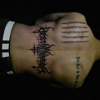 ���������մ��ࡿ________���ϸ�����