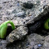 ��ͬ��׿Խ���ӽ����δ��