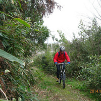 ��һ�����ﳵ��