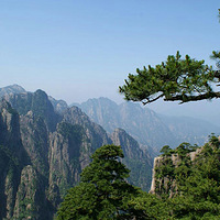 �����Ľ��