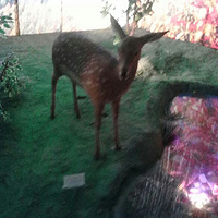 �����Ľ��