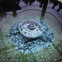 �����Ľ��