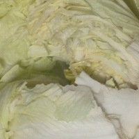 ը���Ĵ�ײ�