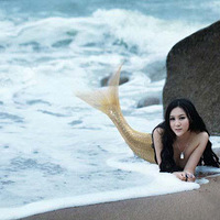 ���ʦ��У�������� �Ըе����㹫��