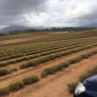 ����ȥ������޹�²�ũ��