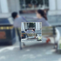 �Ϻ�̩��ʿС�򣬾�����������Ǹ���