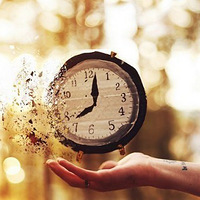 һ����Ը��308��ɫʨ����ؼң���ͼ��Ϯ����