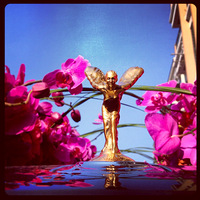 �������ų�