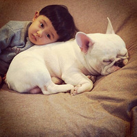 һλ�����ĸ����ӵ�һ����ȫ�����Ƭ