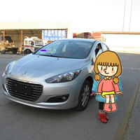 ǳ̸Сʨ�Ӷ������308���ĵ㷢����������