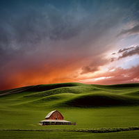 ��ԭ��� ��Ӱʦ��ͷ�µĻ�Ұ����