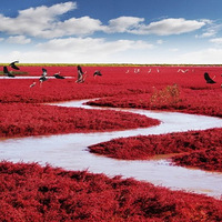 12���������й��羰