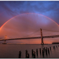 �������к�����  15������׳����˫�ʺ�