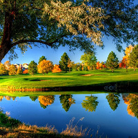 �����Ӿ����ѣ�������ɽ��ˮ