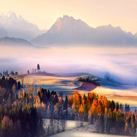 ͯ���ɾ����Ψ����⡣