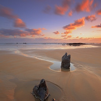 ������ɫ����