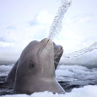 �������������㣡