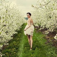 ʫ��ı�����������껪������Ů��