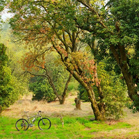 ��һ�������ĵط���