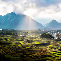 ��ʲôʳ���ͲŸ�������