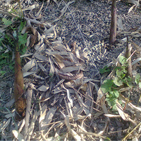 ���ֹ�Ұ�����