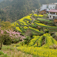 �����Ͳ˻�