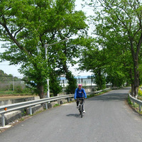 ����侺����Ͳ˻���