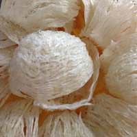 ����Ҫ������