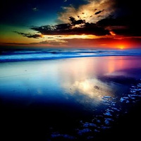 �Ӿ�ʢ�磨16��