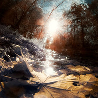 �Ӿ�ʢ�磨14��